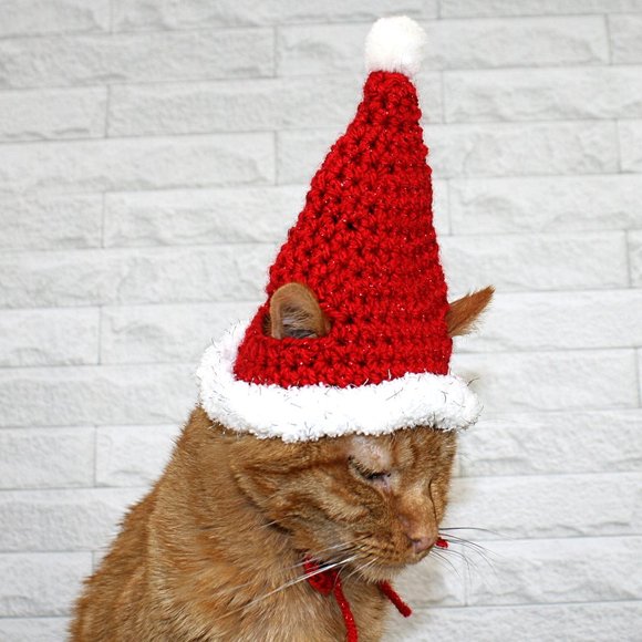 HAND CRAFTED Crochet Santa Cat Hat Costume Photo Prop Christmas Holiday - Picture 4 of 7
